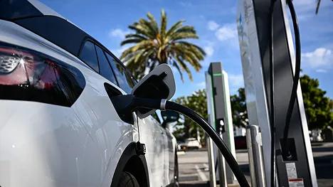 Electric vehicle transport Closeup of white electric car plugged into a public charging station with a palm tree in background