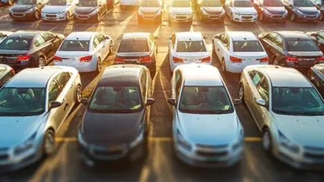 Fleet vehicle staging lot Rows of sedans parked in a fleet lot at sunset with soft background blur