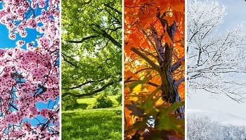 How seasons affect car shipping four seasons graphic showing how spring, summer, fall, and winter affect car shipping