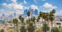 LA to NY car shipping los angeles to new york car shipping route with palm trees and skyline